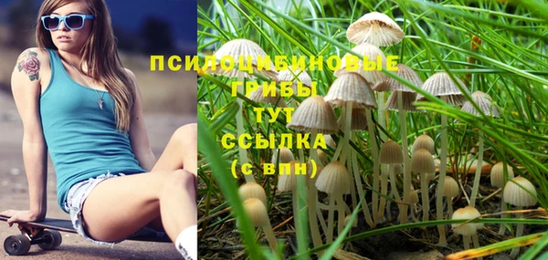 прущие грибы Аркадак