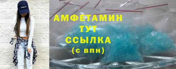 прущие грибы Аркадак