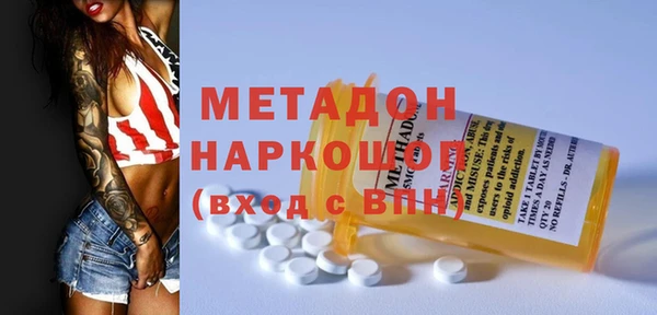 прущие грибы Аркадак