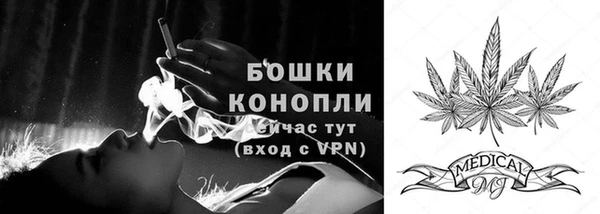 apvp Арсеньев