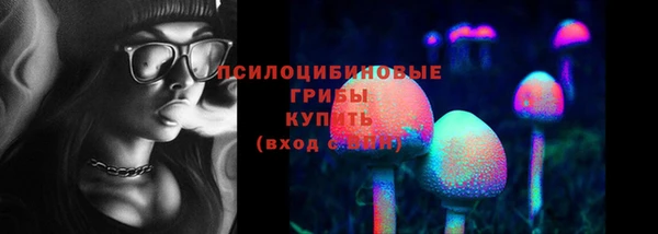 apvp Арсеньев