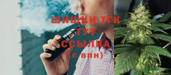 прущие грибы Аркадак