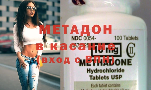 прущие грибы Аркадак