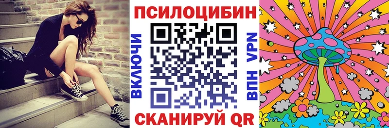 Псилоцибиновые грибы GOLDEN TEACHER  как найти наркотики  Суровикино 